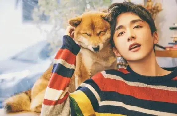 张新成为什么叫本哥，张新成本哥是什么梗什么意思外号由来介绍