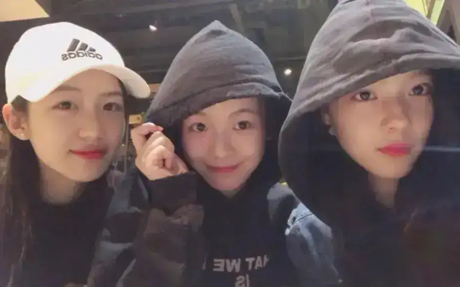 庄达菲个人资料简介,庄达菲和姚晨关系深度揭秘!-7 庄达菲个人资料简介,庄达菲和姚晨关系深度揭秘!