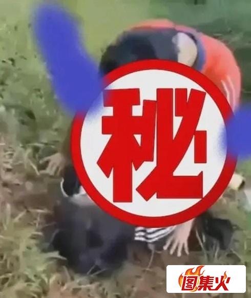 4tsyi 周口刘双婷麦地战神的视频是啥意思?有什么瓜?