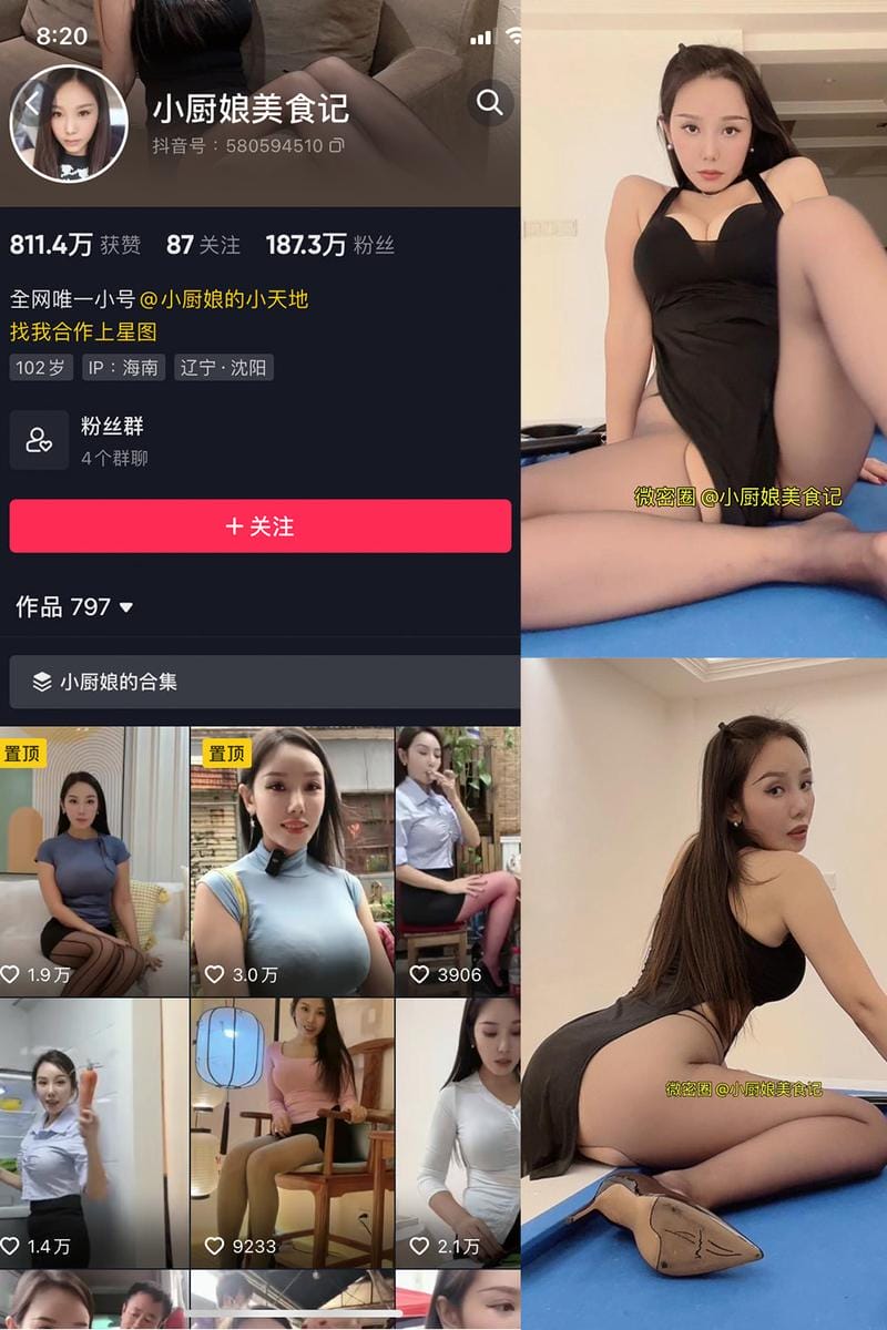 小厨娘美食记 – 微密圈写真&amp;视频合集【持续更新中】