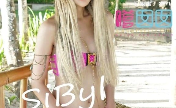 嗲囡囡 – 2015.12.16 VOL.019 SiByl李思宁[39P161M]