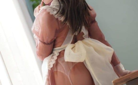 虎森森 – NO.039 棕色透明女仆 [35P-229MB]