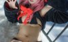 羽生三未 – NO.36 礼物猫 [26P-197MB]